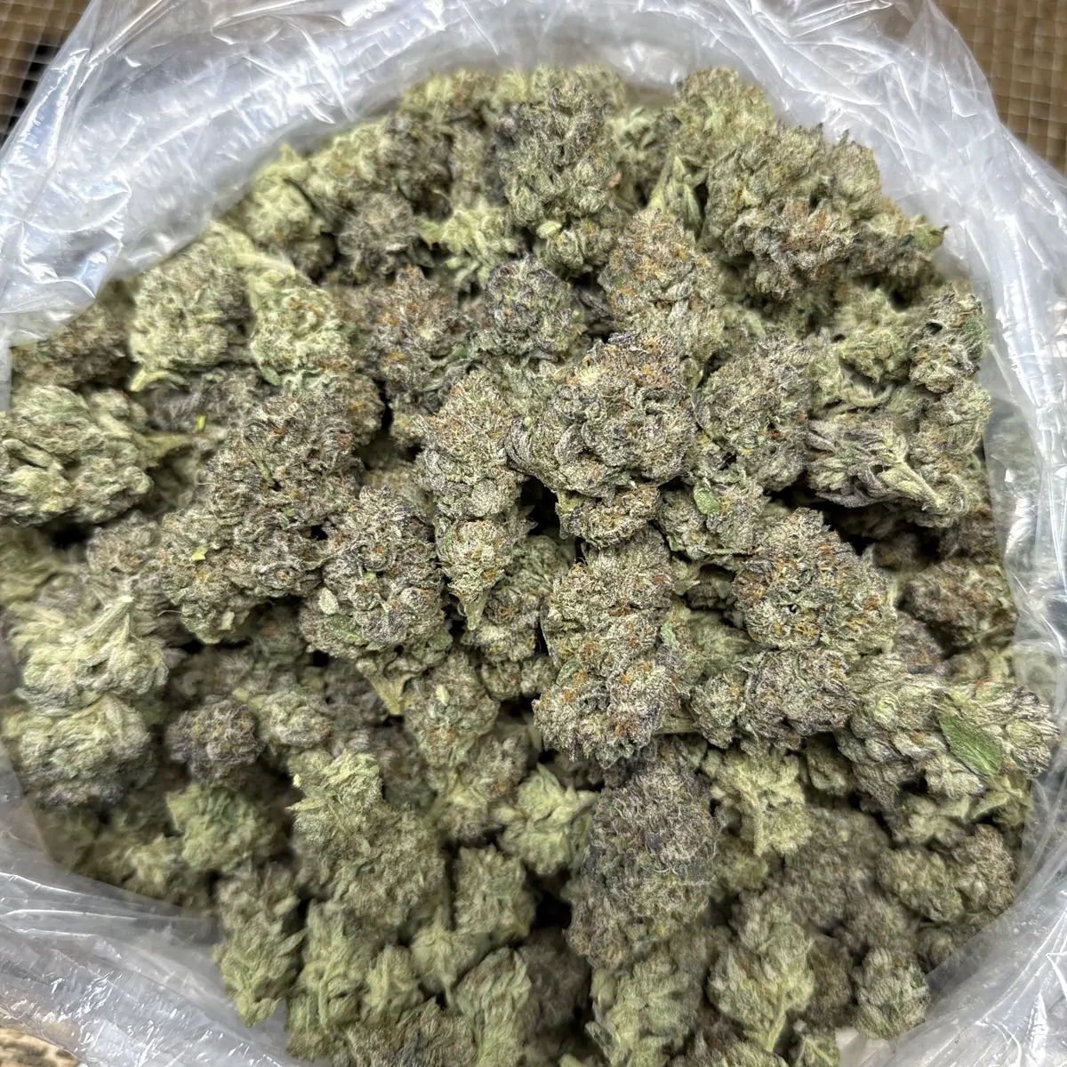 Glitter Bomb Flower